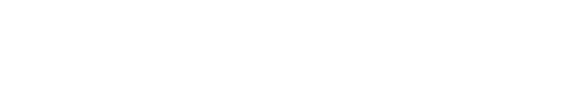 VX Core FX Logo